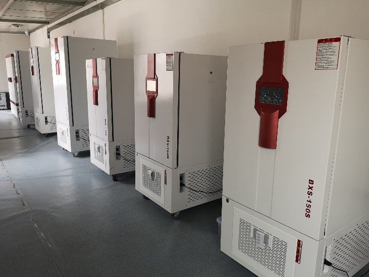 Pharmaceutical laboratory incubator in operation for microbiology testing