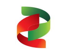 国家电投
